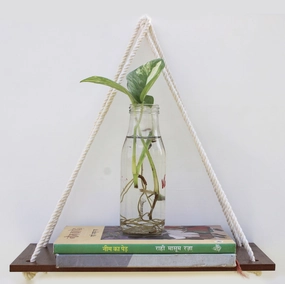 Wooden 1 Layer Wall Shelf With White Jute Rope cactus succulent plant  