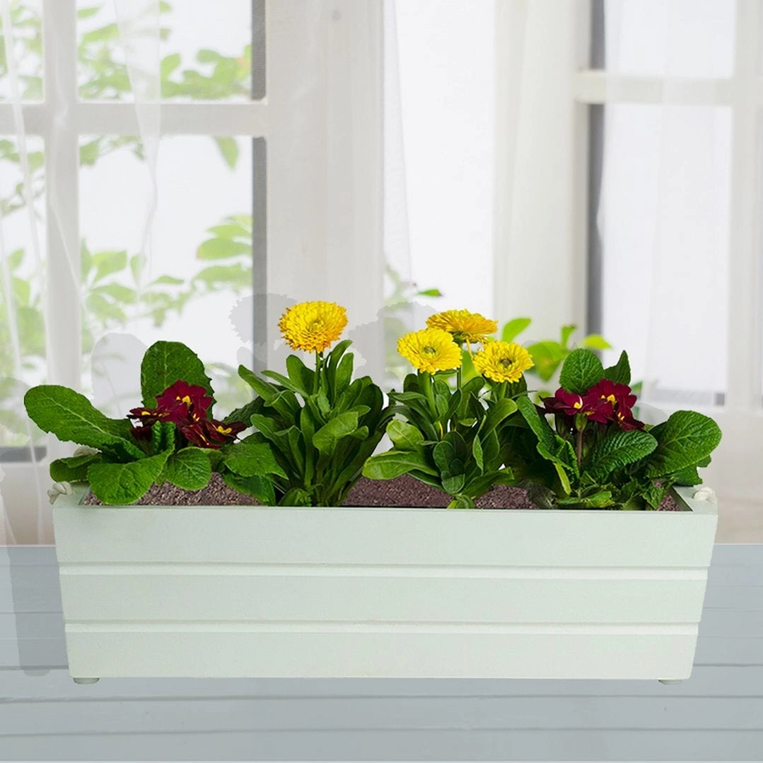 Wooden Boat Planter (Rectangle Shaped)