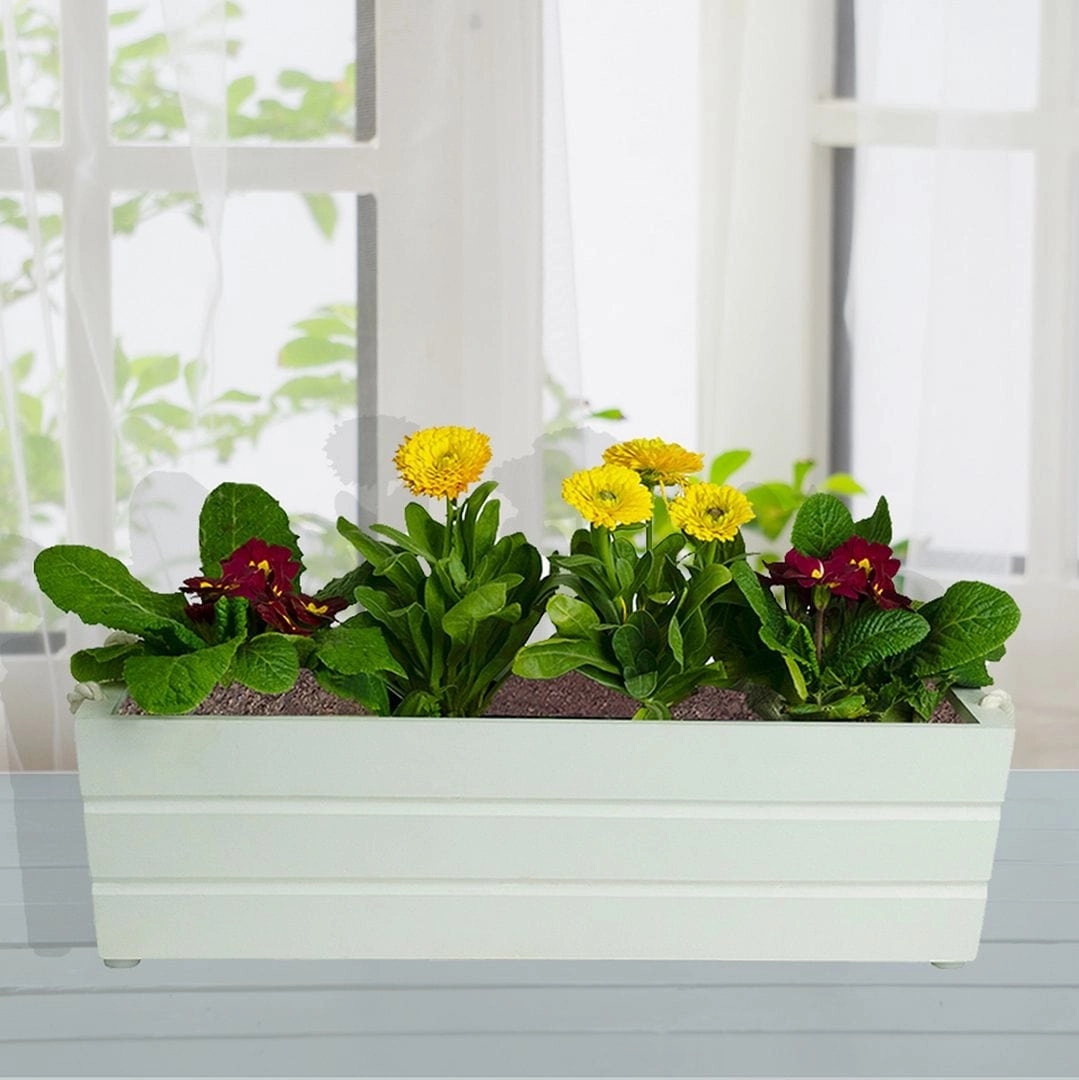 Wooden Boat Planter (Rectangle Shaped)