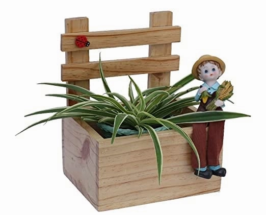 Wooden Planter, Multi Utility Storage Box (18.5 x 23 x 16 cm) shade perennial  