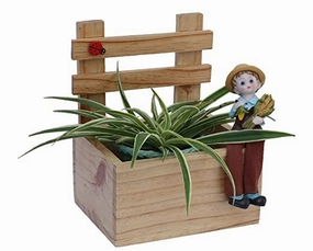 Wooden Planter, Multi Utility Storage Box (18.5 x 23 x 16 cm) classic flowerpot  