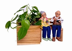 Wooden Planter Pot with Bench and Decorative (25 X 12 X 12 cm) classic flowerpot  