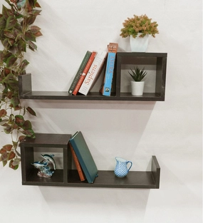 Wooden Wall/Book Shelevs- Set of 2 cactus succulent plant  