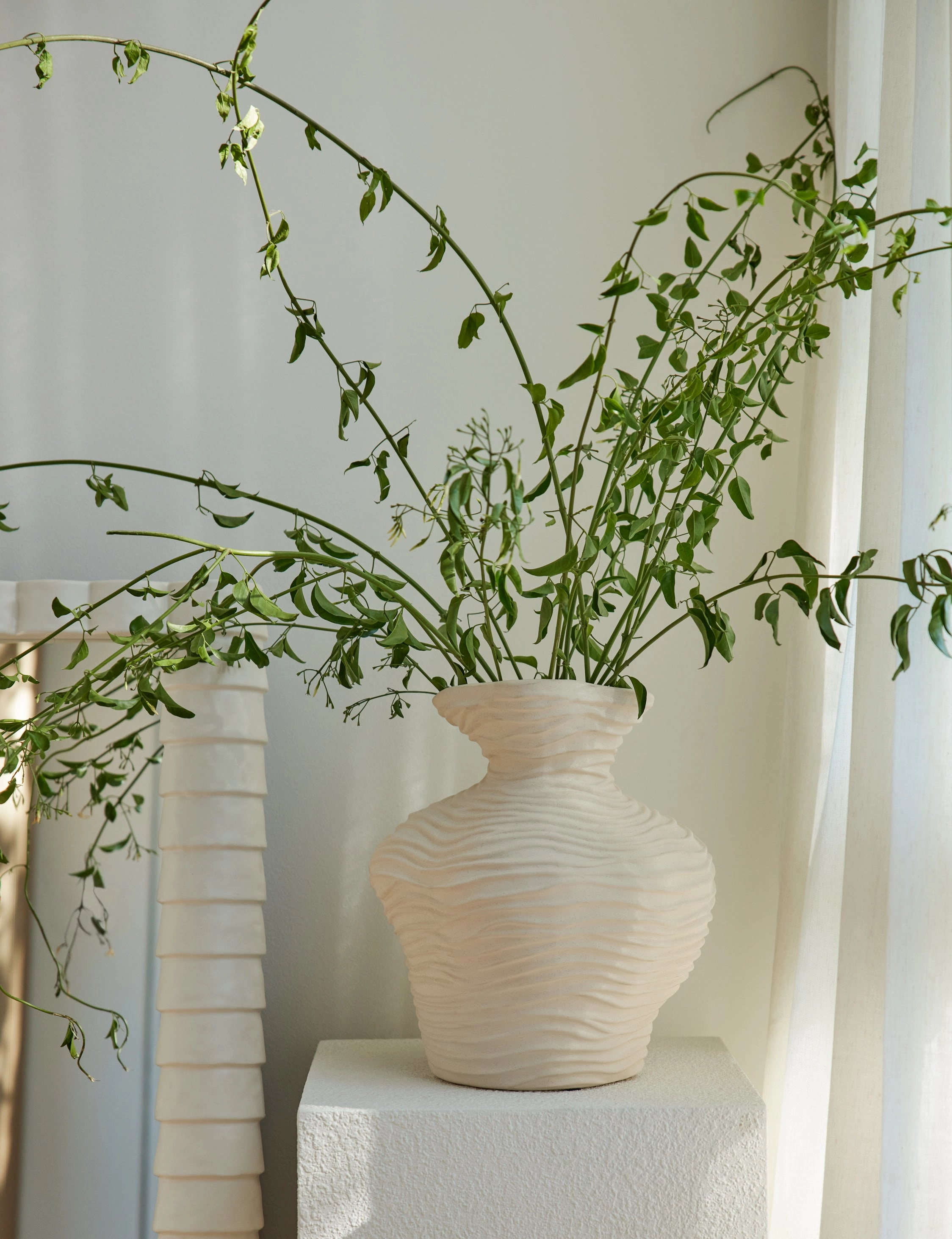 Wrinkle Vase by Sarah Sherman Samuel mini ornamental plant  