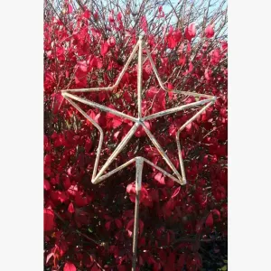 Wrought Iron 3-D Star with Stake Yard Garden Decor dried flower branch  