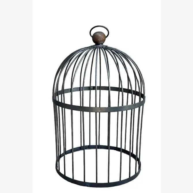 Wrought Iron Bird Cage Style Obelisk with Decorative Sphere dried flower branch  