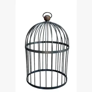 Wrought Iron Bird Cage Style Obelisk with Decorative Sphere dried flower branch  