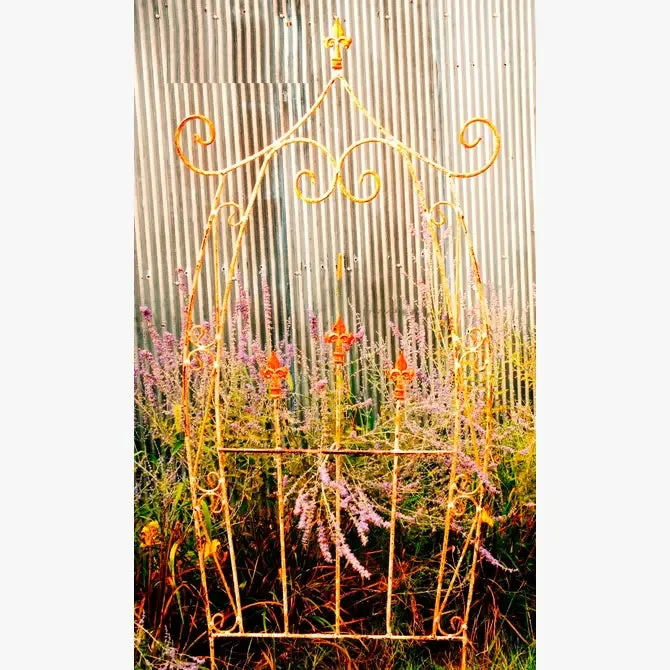 Wrought Iron Carriage Dancy Trellis Plant Support Gate Decor