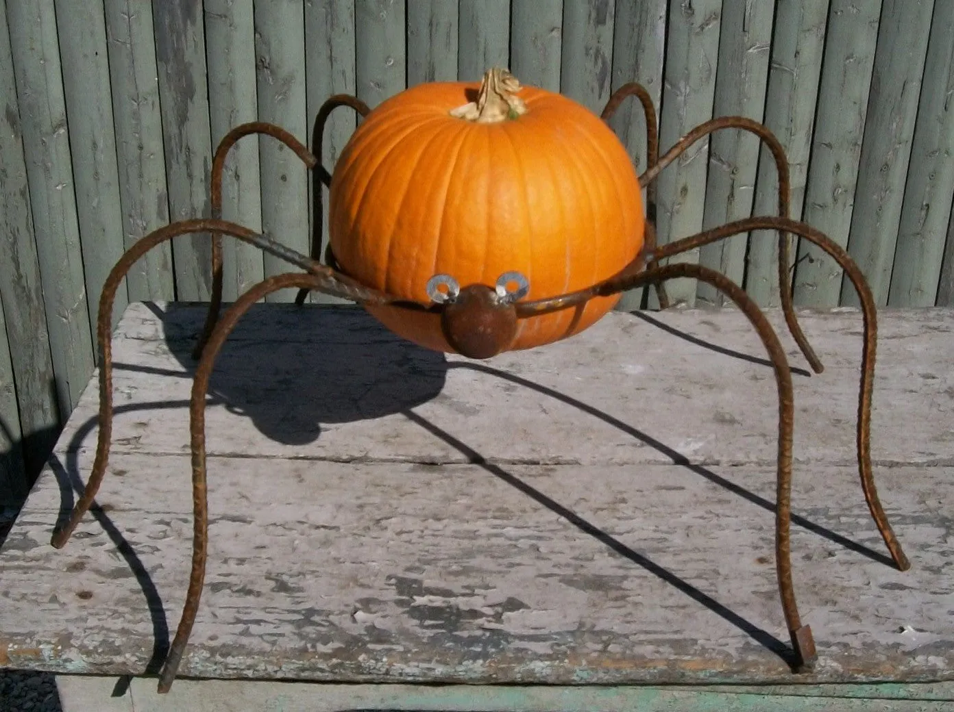 Wrought Iron Large Spider dried flower branch  