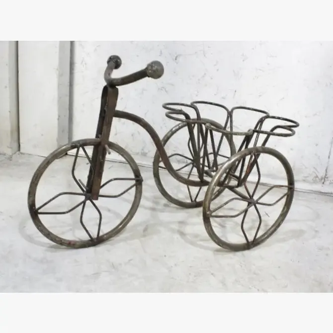 Wrought Iron Mini Tricycle dried flower branch  