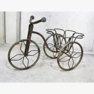 Wrought Iron Mini Tricycle dried flower branch  