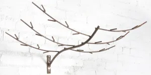 Wrought Iron Wall Hanging Plain Limb w/ Bracket for Hanging dried flower branch  