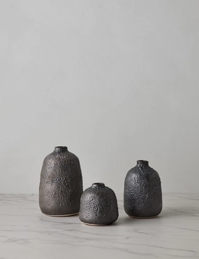 Wylie Vases (Set of 3) mini ornamental plant  