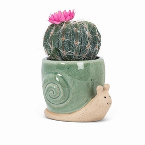 XS Crawling Snail Planter - 3.5"L plant seeds  
