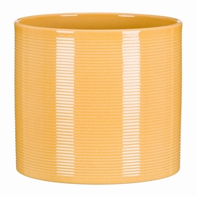 Yellow  Indoor Ceramic Cover Pot Zabaione (828) tall green plant  