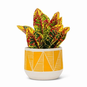 Yellow Large Etched Planter - 6.5"D plant seeds  