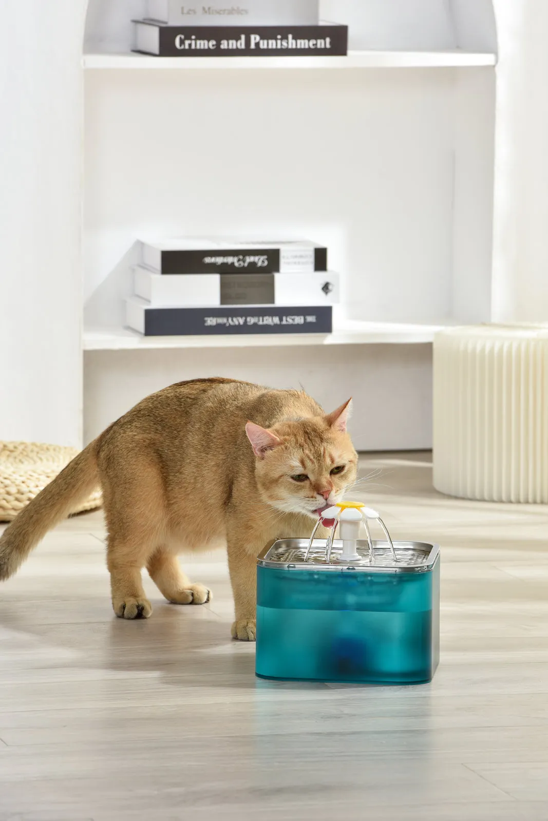 YES4PETS 3L Automatic Electric Pet Water Fountain Dog Cat Stainless Steel Feeder Bowl Dispenser V278-PWS-106-GREEN dried flowers  