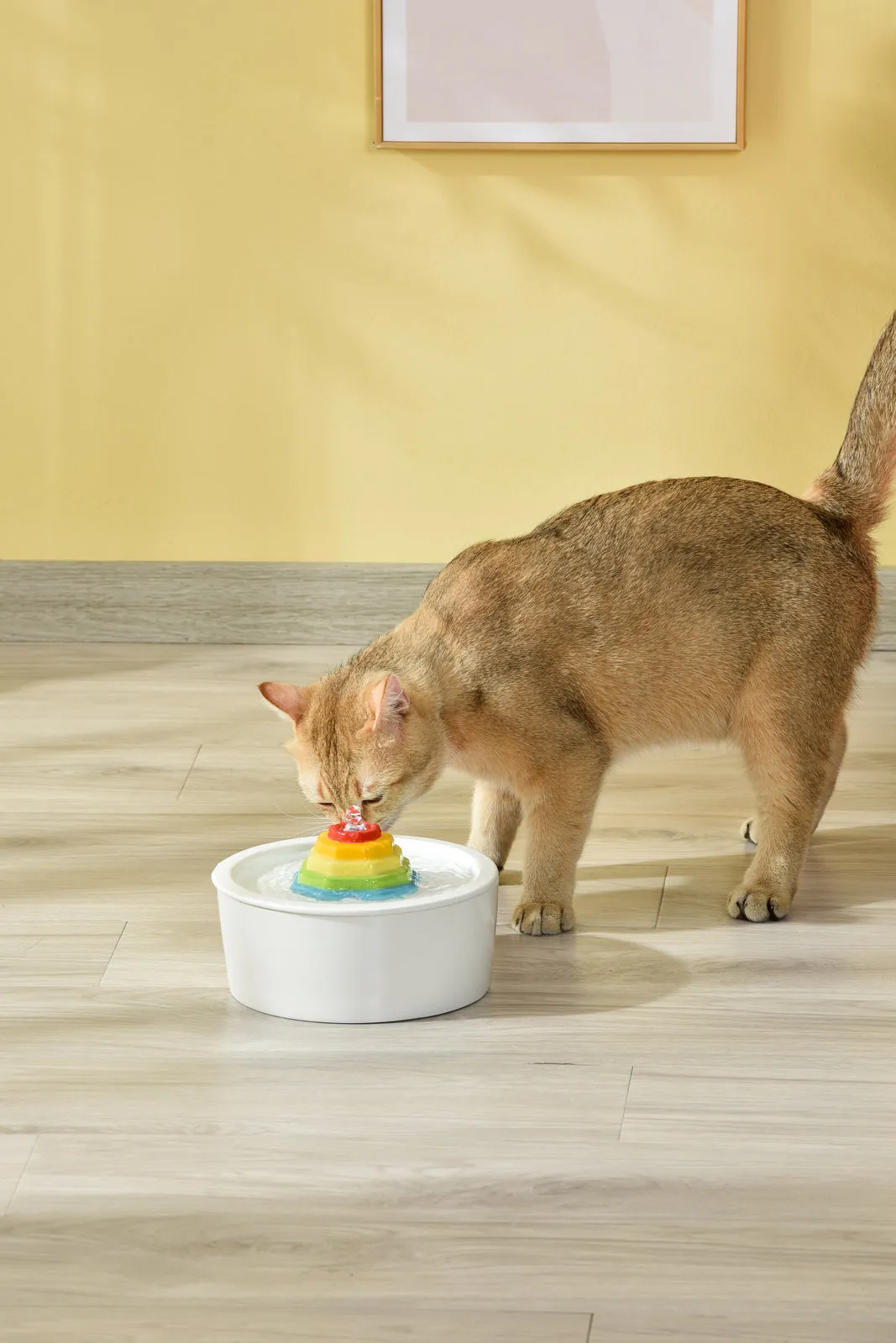 YES4PETS Ceramic Electric Pet Water Fountain Dog Cat Water Feeder Bowl Dispenser V278-PWC-105C