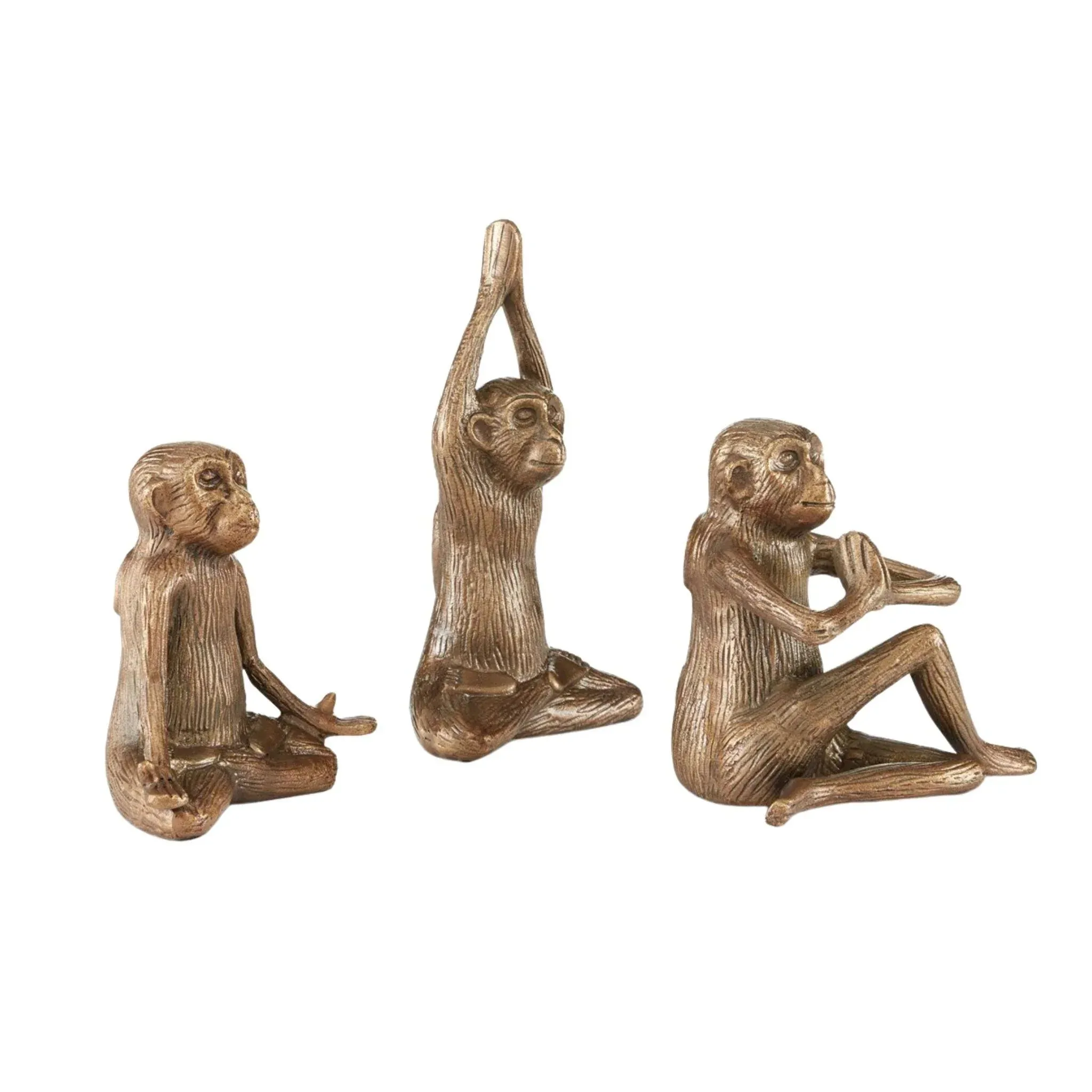 Zen Monkeys