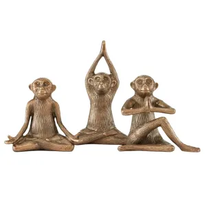 Zen Monkeys dried flowers  