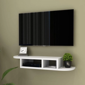 Zion Wall-Mounted Tv Unit cactus succulent plant  