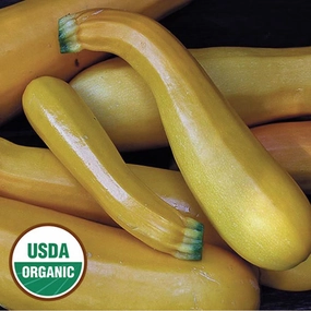 Zucchini, Golden Organic Seeds floating plant shelf  